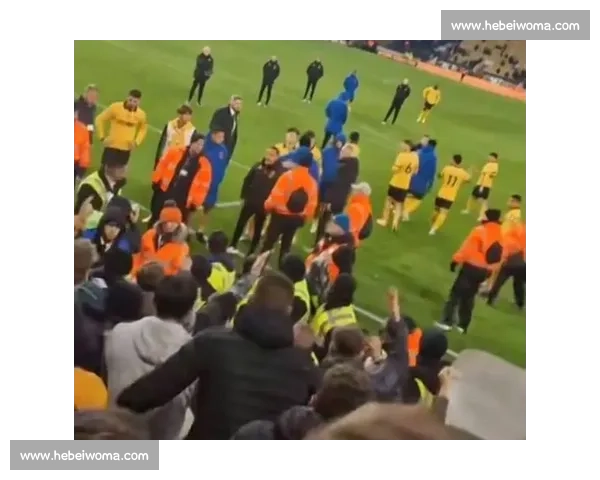 狼队 9 场 2 分垫底！主帅与球迷看台对峙